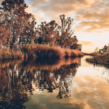 Fernweh - Delta De L'ebre Villa *
